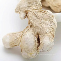 Top Quality Dehydrated Ginger Whole for free sample